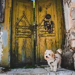 Nomads 4* Τρίκαλα