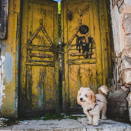 Nomads 4* 特里卡拉