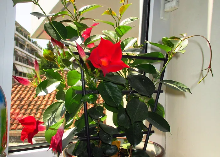 Herberg Nomads Tríkala